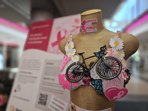 A bra decorated for a hospital contest which honors Fran Peed's breast cancer journey. It was made by her best friend and colleague, Cheryl Anne Jolly.