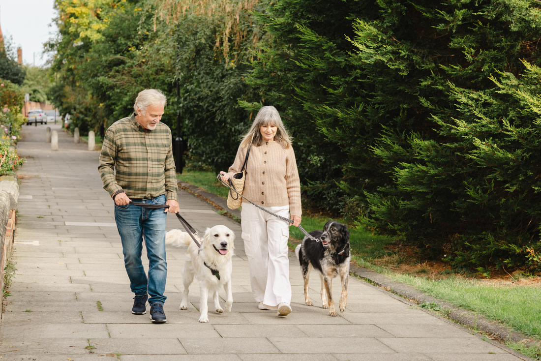 Two adults walking side by side on a sidewalk in a leafy neighborhood, each holding a leash for a dog, with one light-colored dog and one darker dog walking slightly ahead near a row of tall green shrubs.