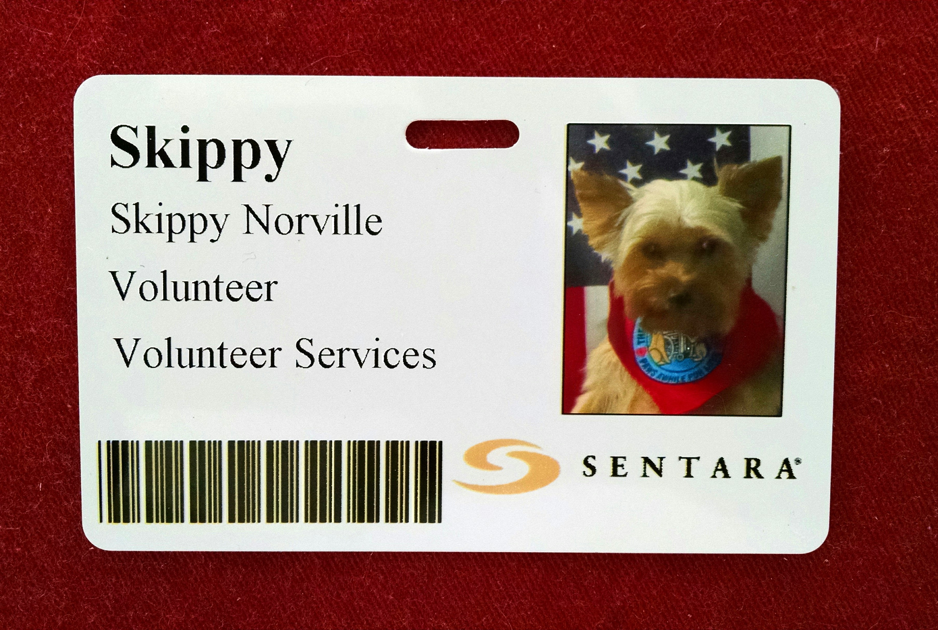 Skippy's badge.jpg