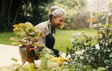 Retired_senior_woman_gardening_in_back_yard.jpg