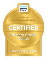 SNV - DNV Certification Mark_Primary_Stroke lg.png
