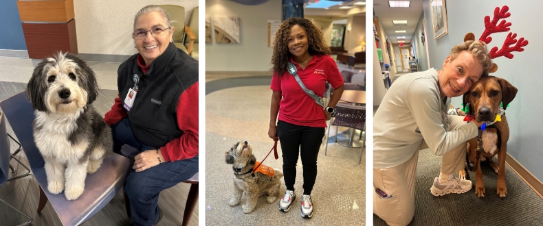 SNVMC therapy dogs