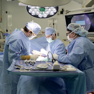 Eight Sentara hospitals earn high marks from CMS in 2026