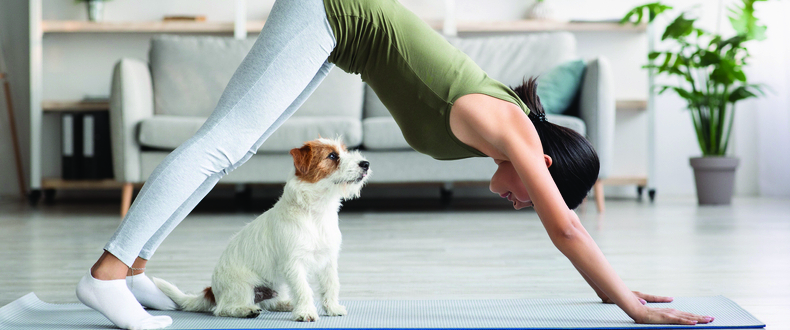 yoga with dog