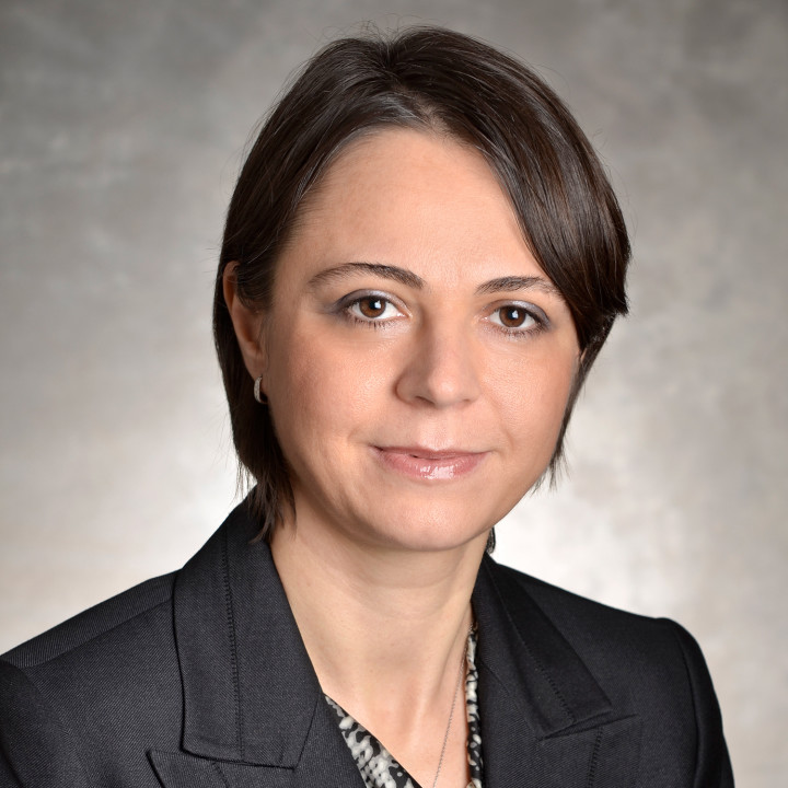 provider ANDRA S COMANICIU, M.D.