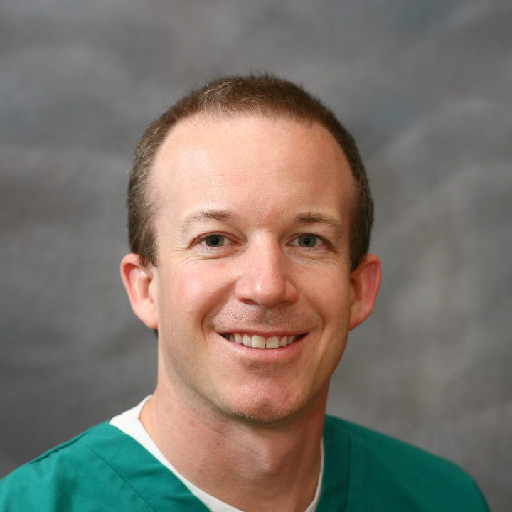 provider David M. Kenee, DDS