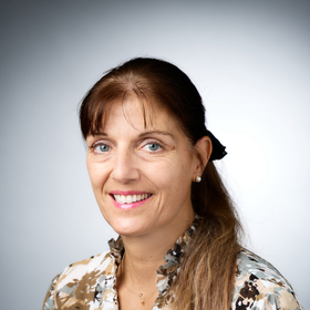 provider Susan E Ferrandino, CNP
